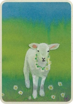Ansichtkaart lam